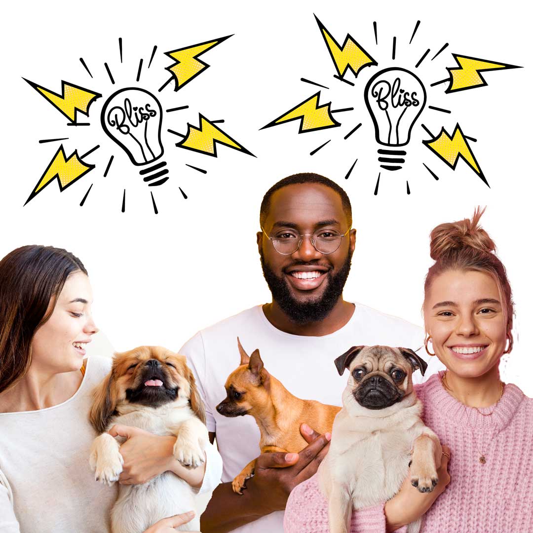 Blissful dog owners